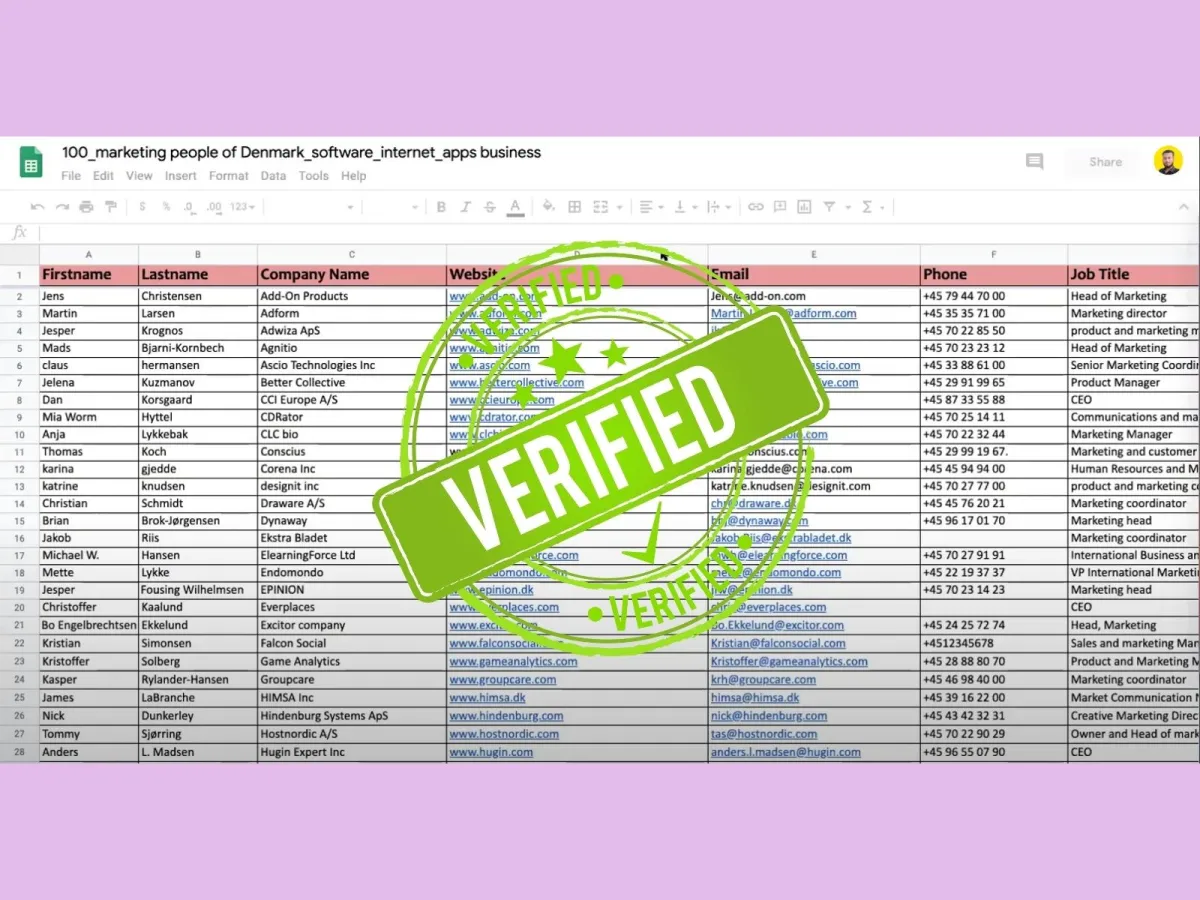 I will export a Targeted B2B Email List for Lead Generation for Email Marketing