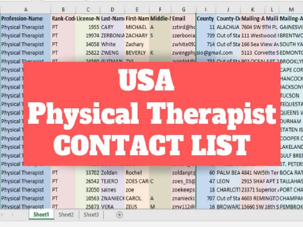 Provide You USA Weight Loss, Chiropractor, Dentist and Physical Therapist Email Leads