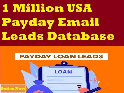 Provide You 1 Million USA Payday Email Leads Database